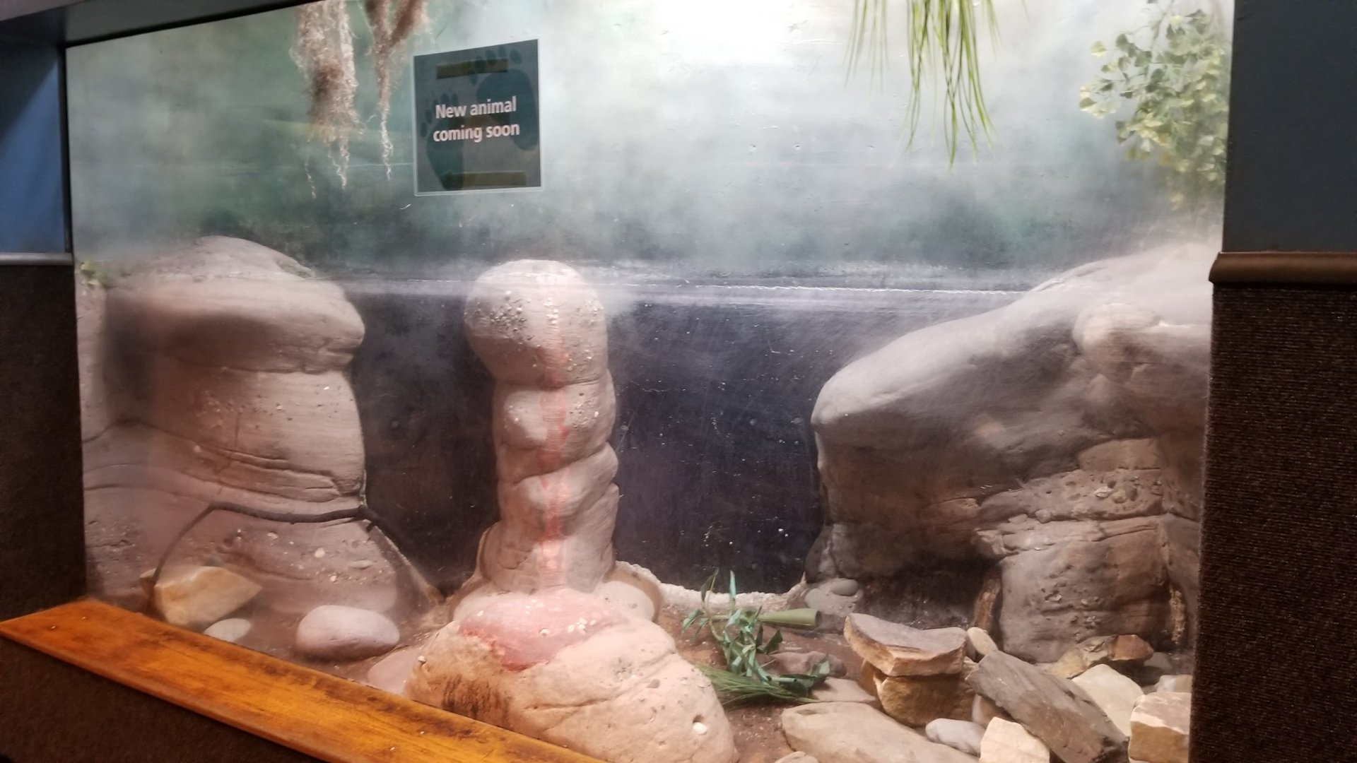 Empty reptile exhibit
