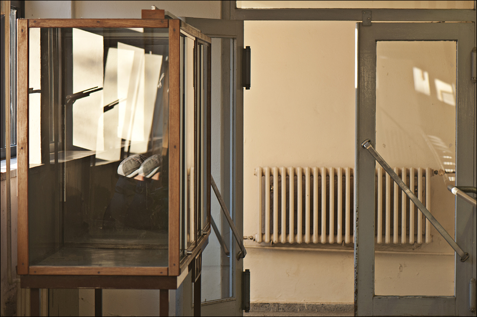 Empty rodent-cage at Berlin Tierpark