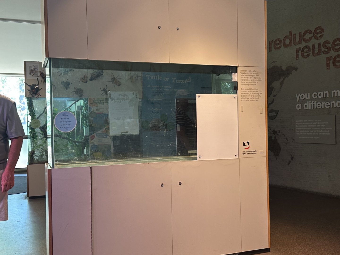 Empty seahorse exhibit