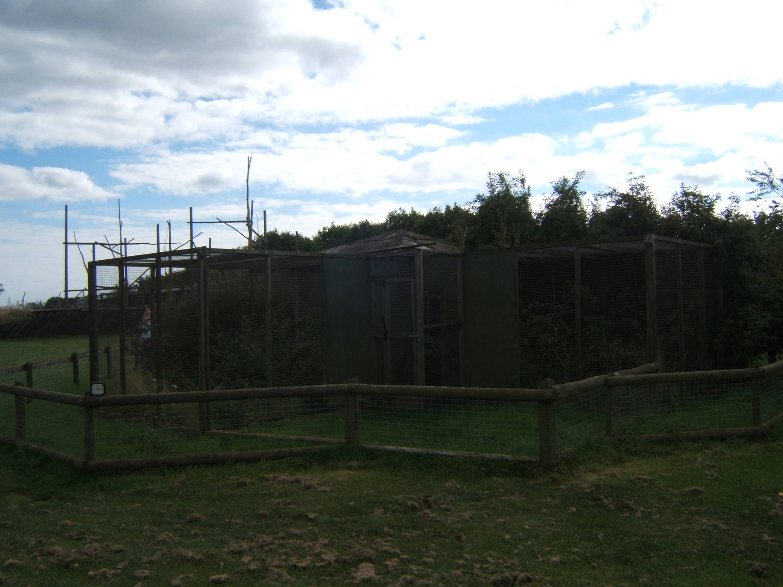 Empty Siberian Weasel enclosures