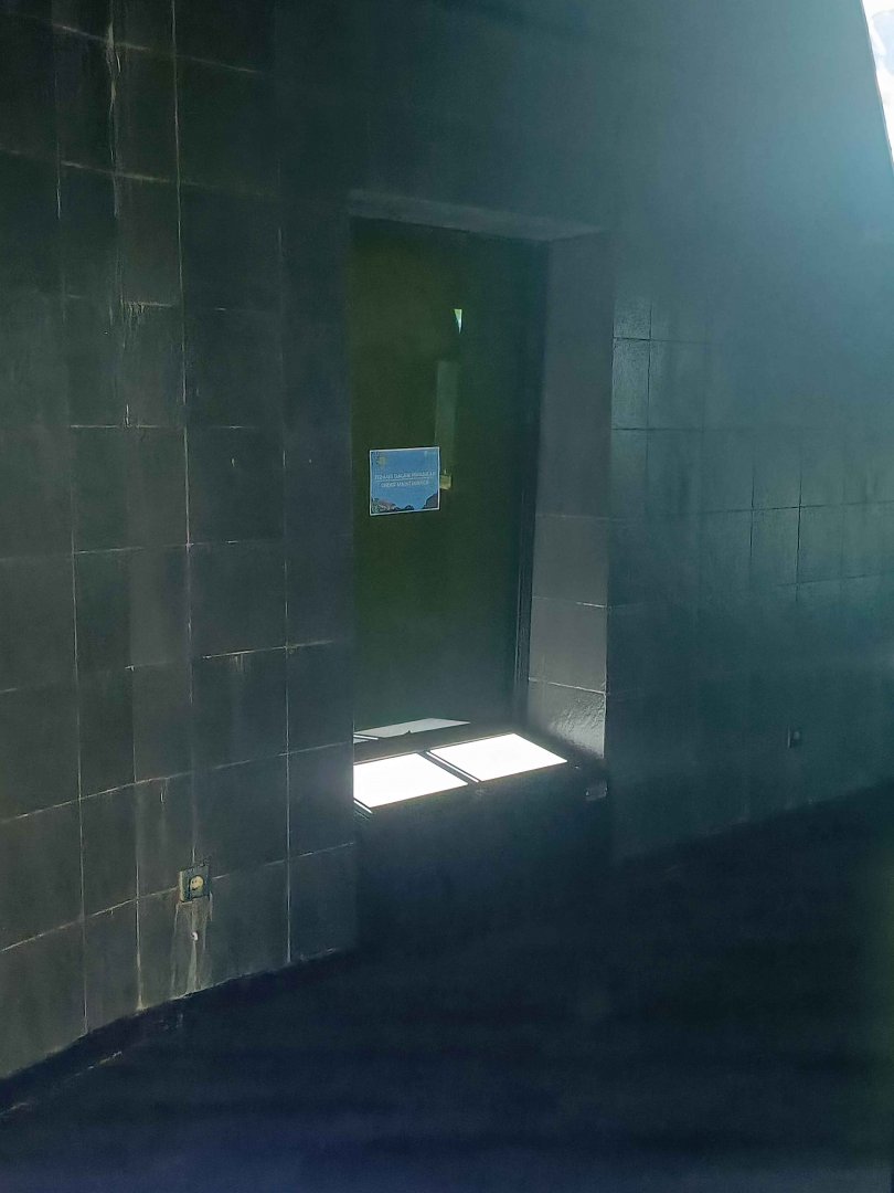 Empty South Asian Barb Tank