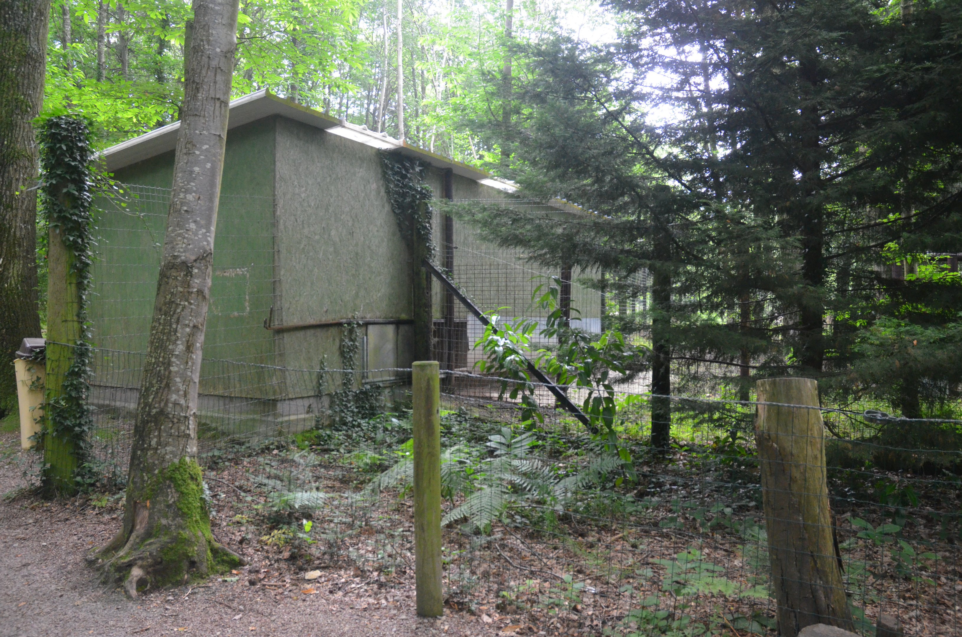 Empty (?) Striped Hyaena Enclosure at CERZA, 10/06/18