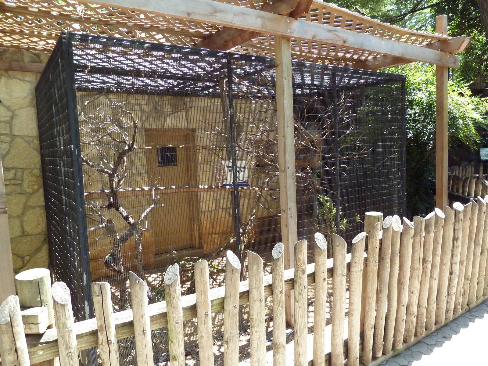 Empty Tamarin Exhibit