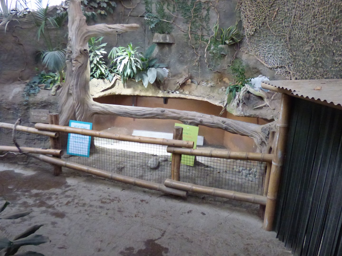 Empty tank in Elephants of the Asian Rainforest