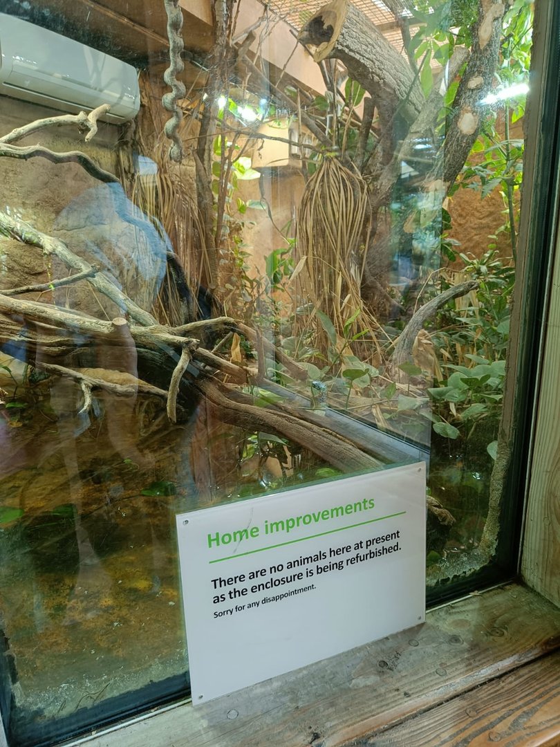 Empty tank in Komodo Dragon House?