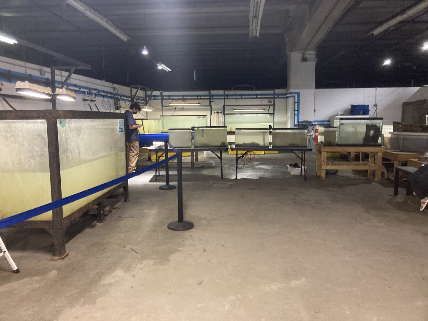 Empty tanks (fish are being released)