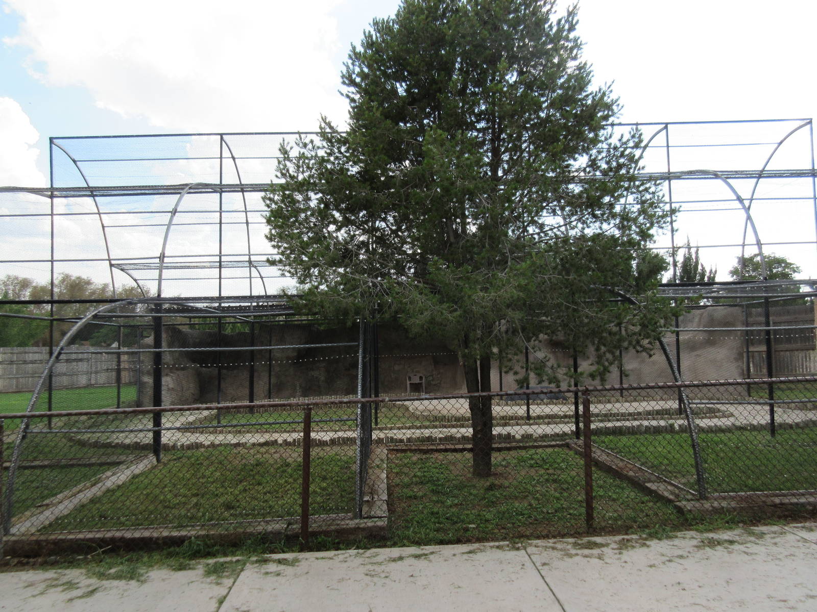 Empty Walk-Through Aviary