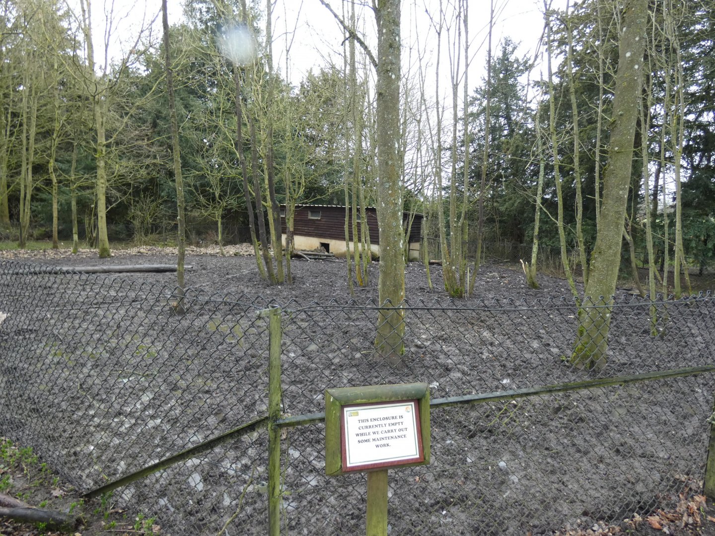 Empty Warty Pig enclosure