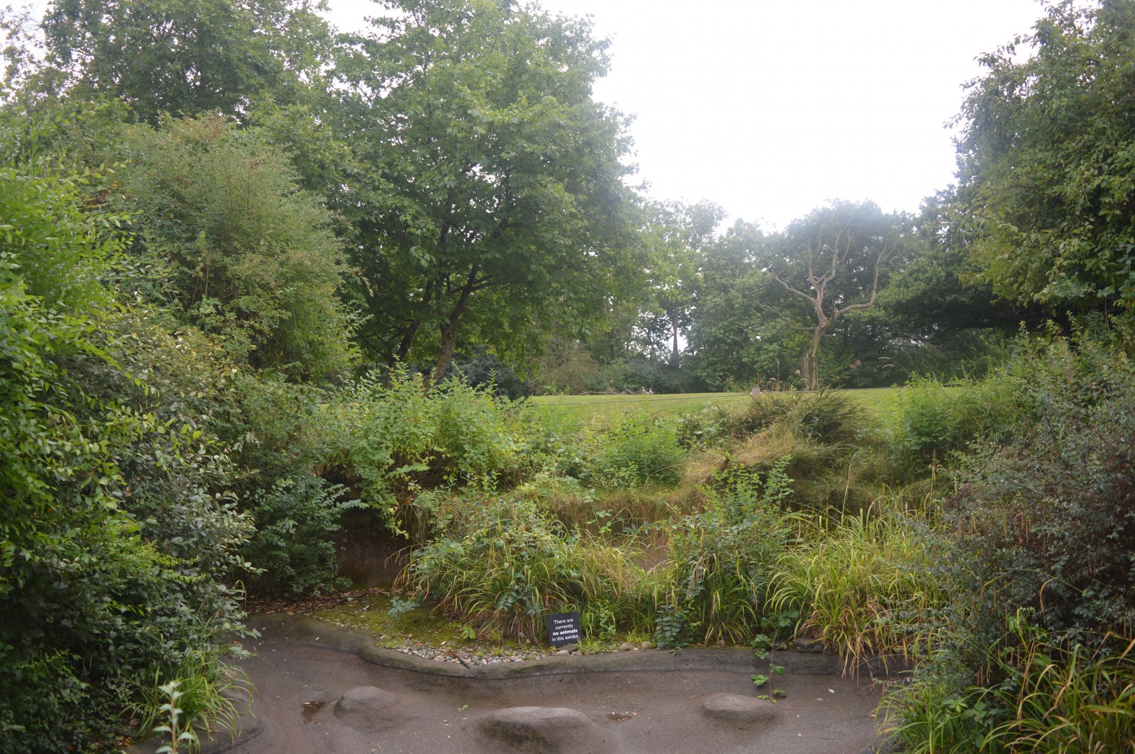 Empty Waterfowl Exhibit