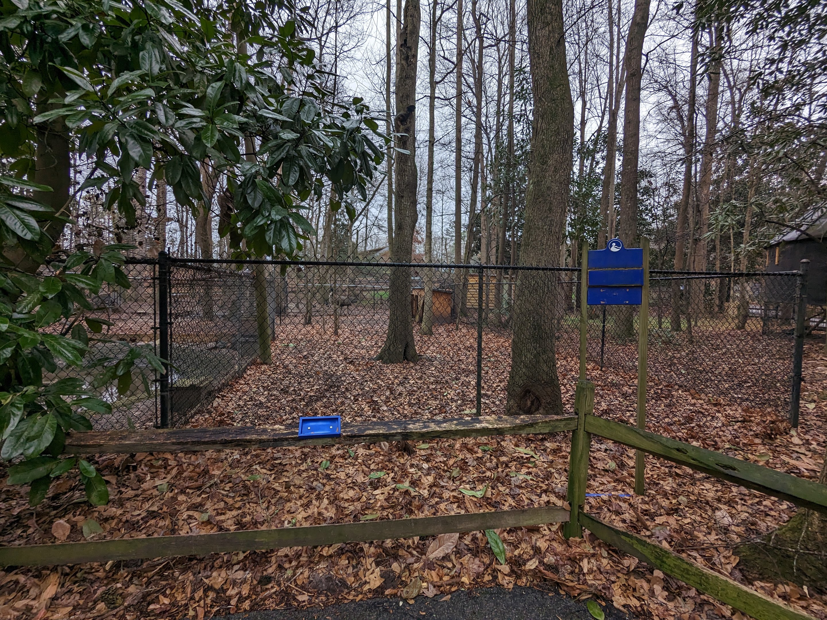 Empty yard (previsouly emu?)