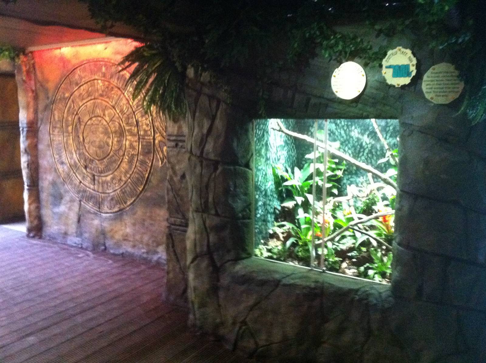 Emrald tree boa display