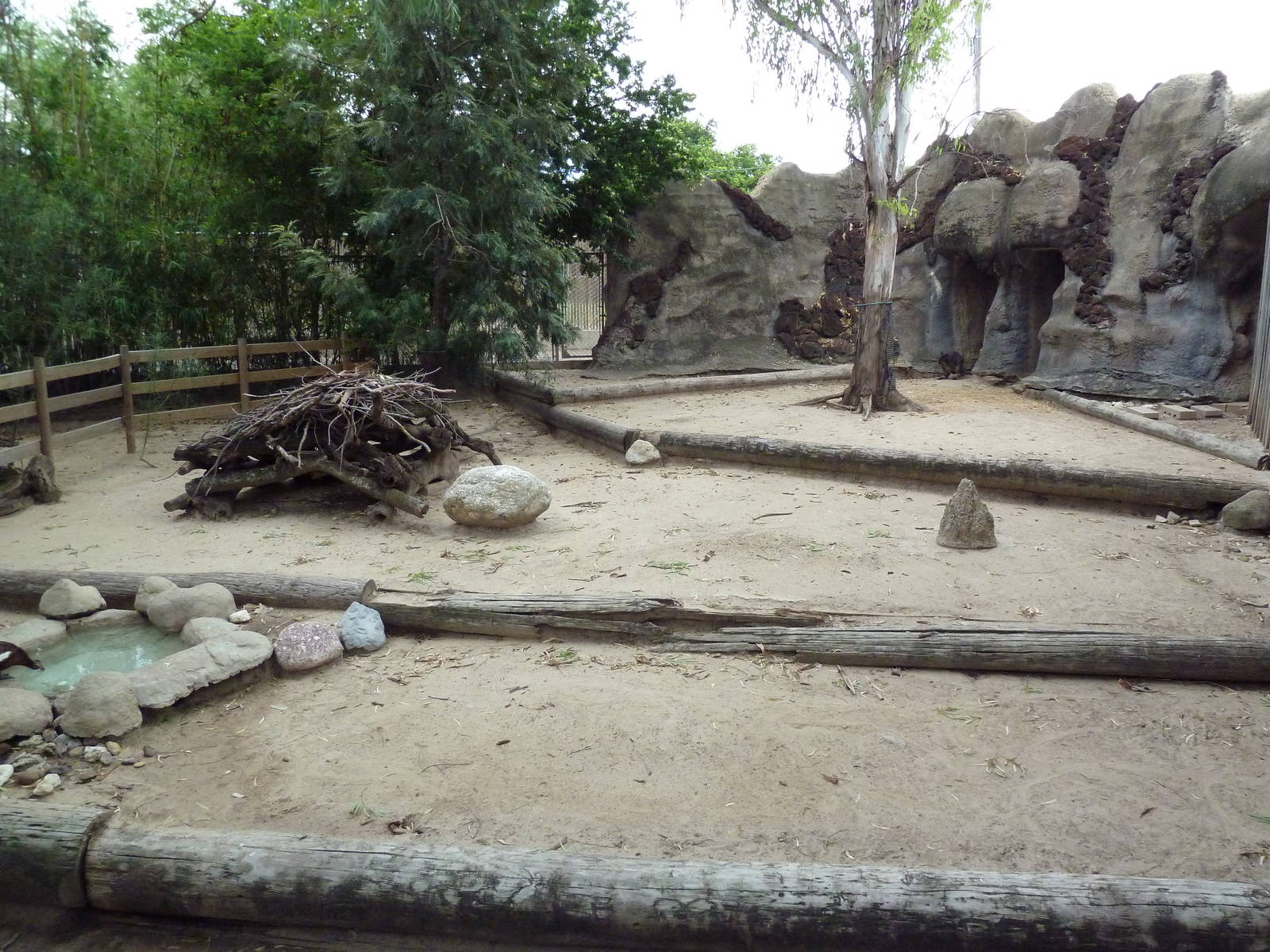Emu/Agile Wallaby Exhibit