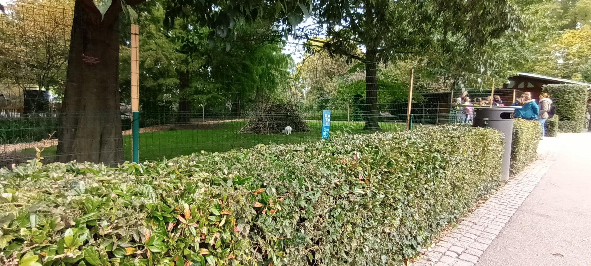 Emu and albino Bennetts Wallaby Enclosure