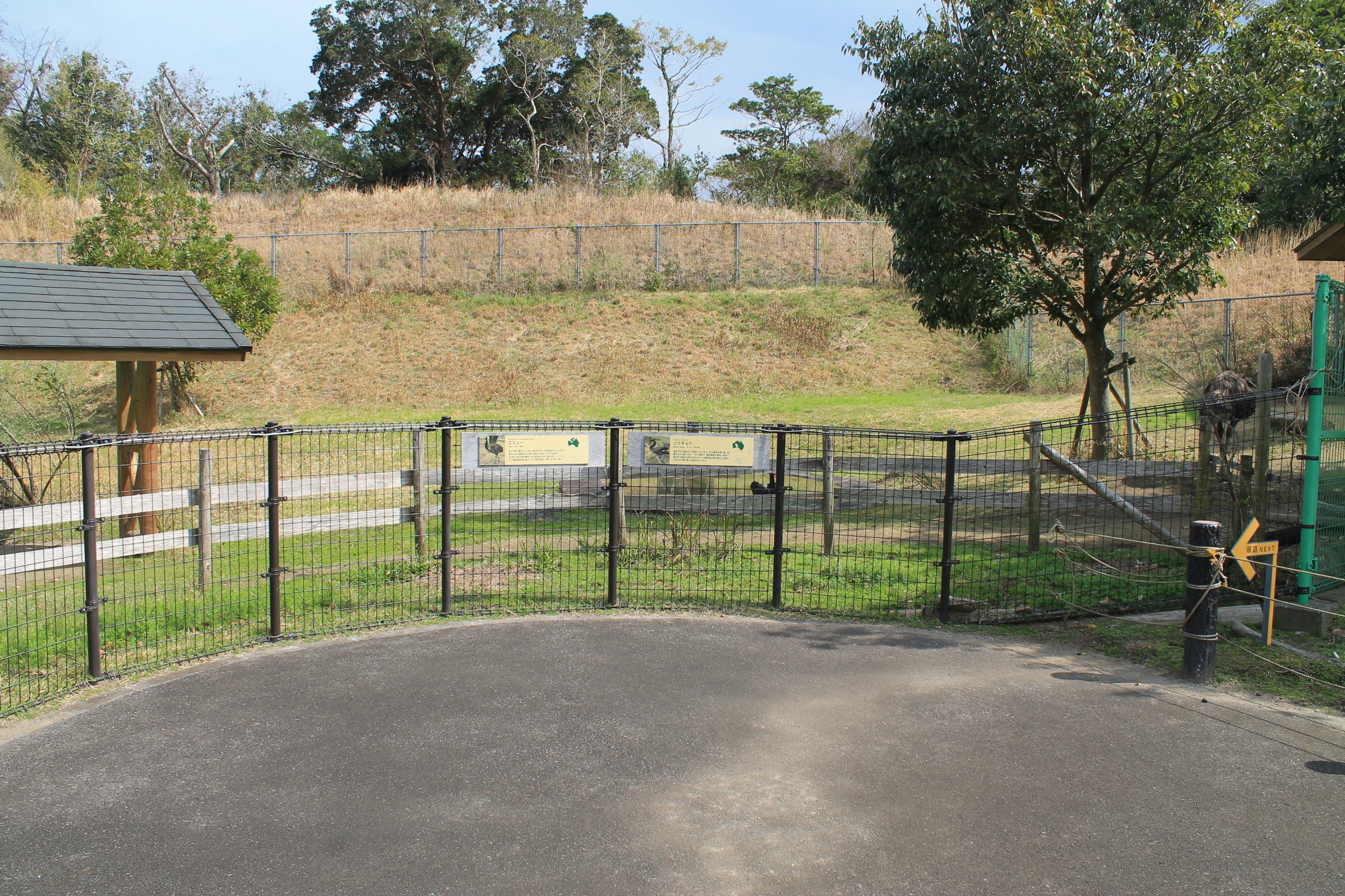 Emu and Black Swan enclosure - Hirakawa Zoo (Kagoshima)