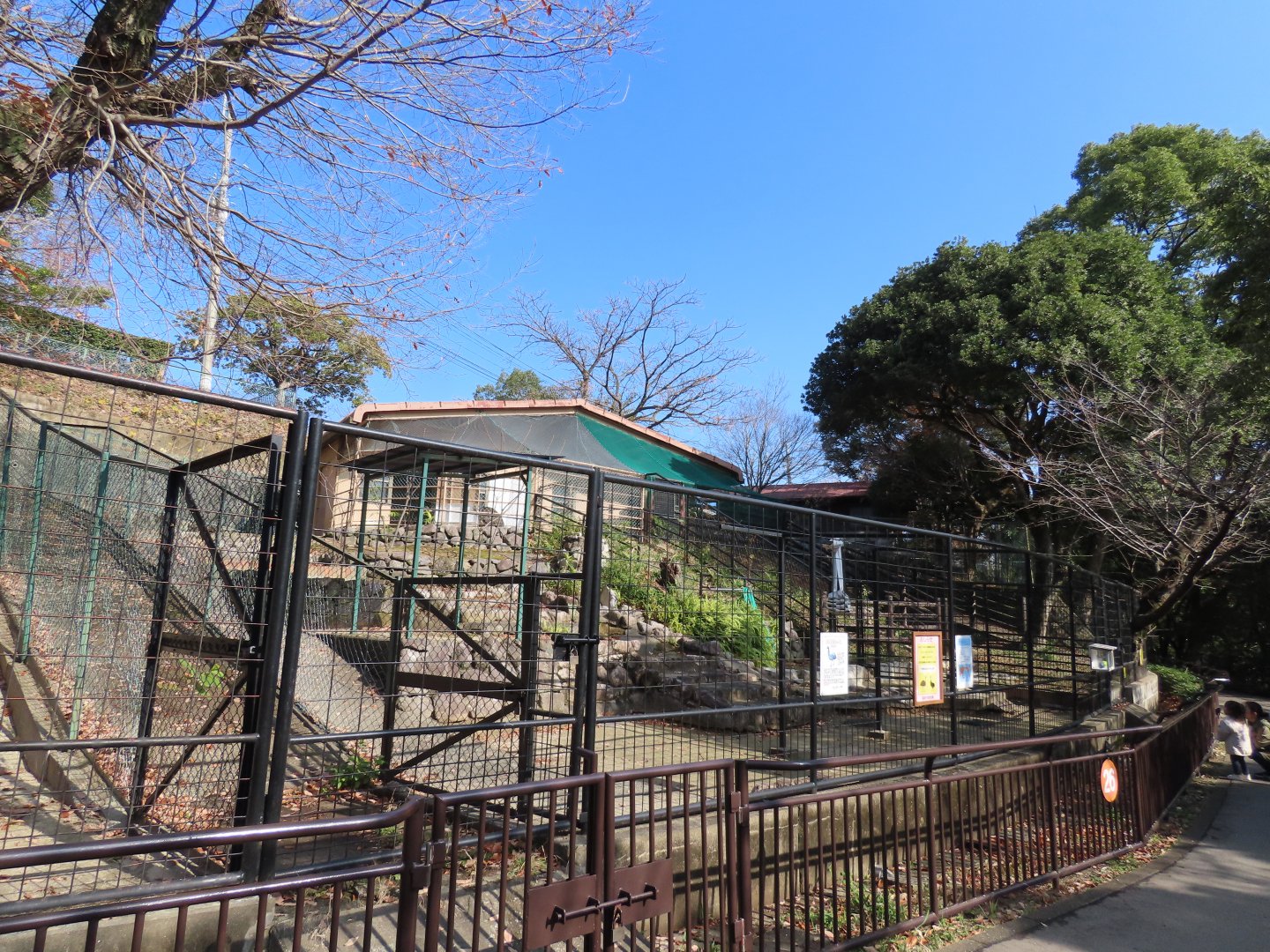 Emu and Cassowary pen