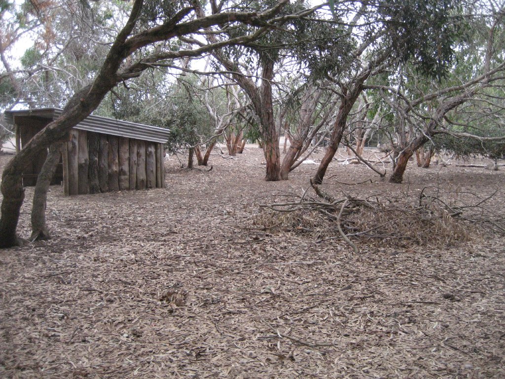 Emu and Kangaroo enclosure