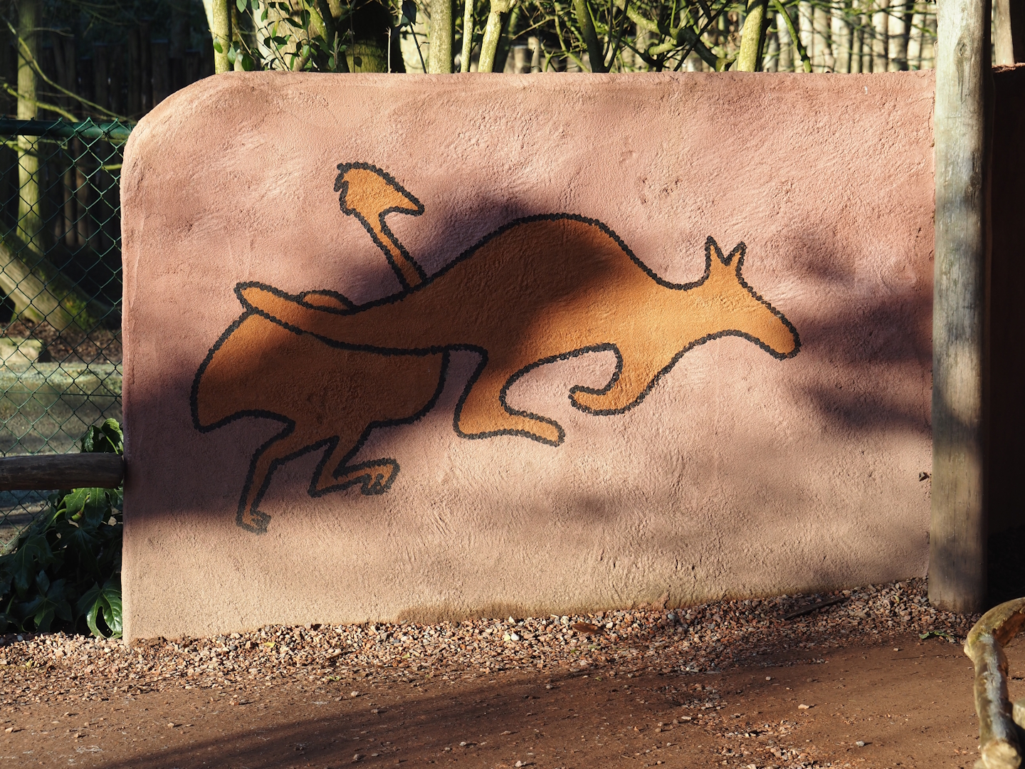 Emu and Kangaroo mural on wall next to viewing area, 2025-02-02