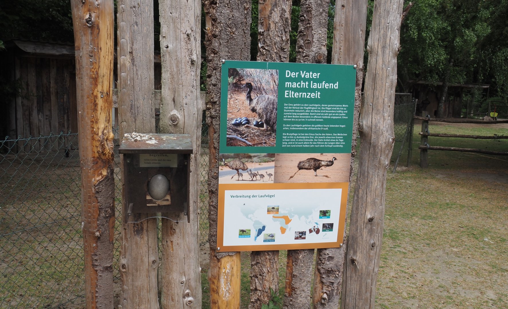 Emu and ratite signage with emu egg, 2025-05-22