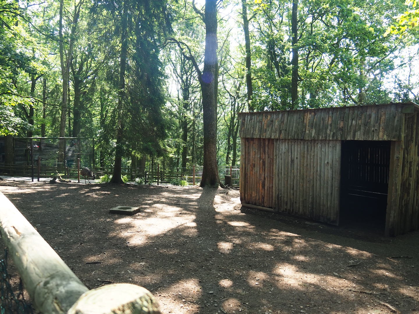 Emu and Red-necked wallaby barn and paddock, 2023-06-24