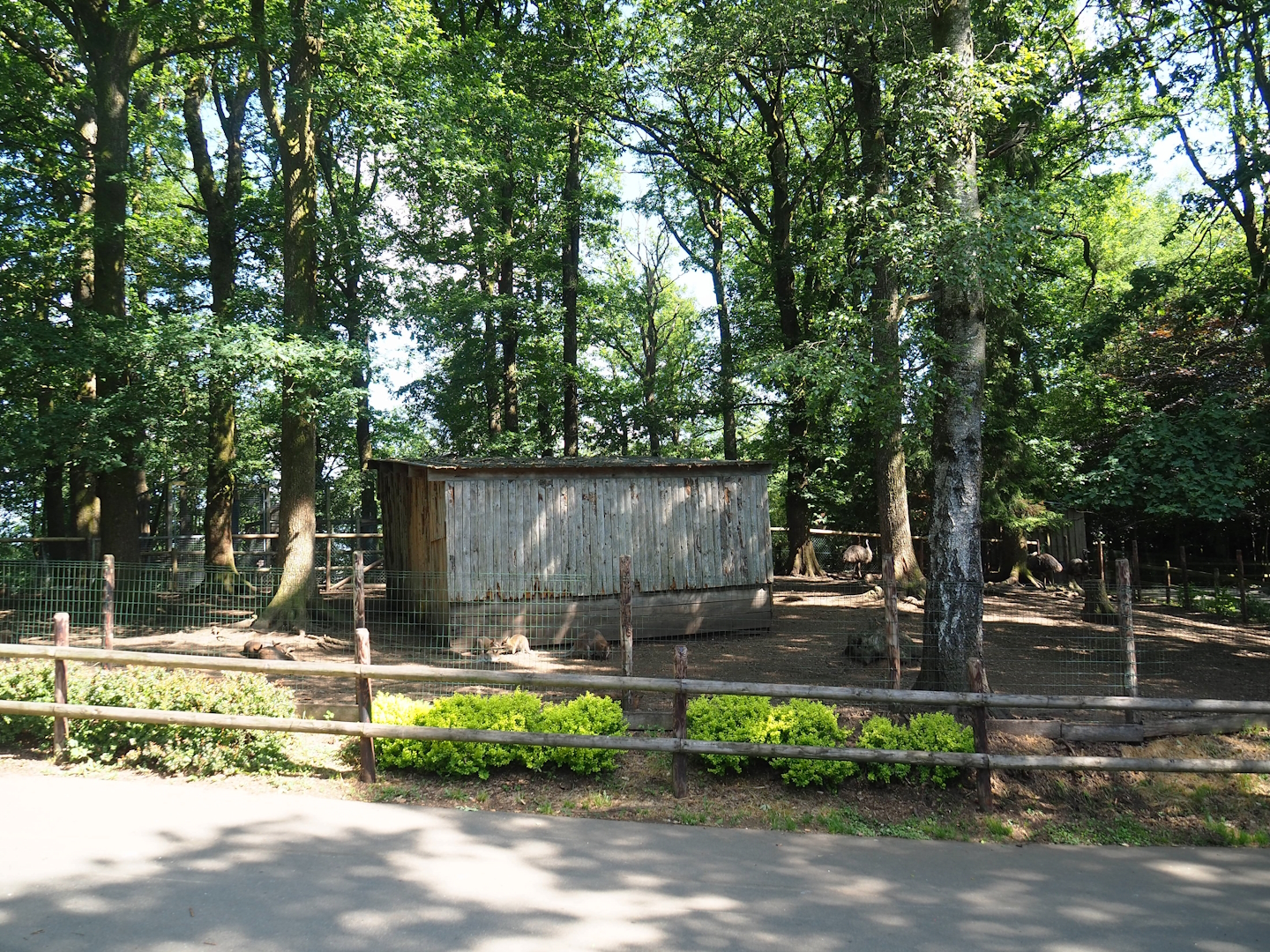 Emu and Red-necked wallaby barn and paddock, 2023-06-24