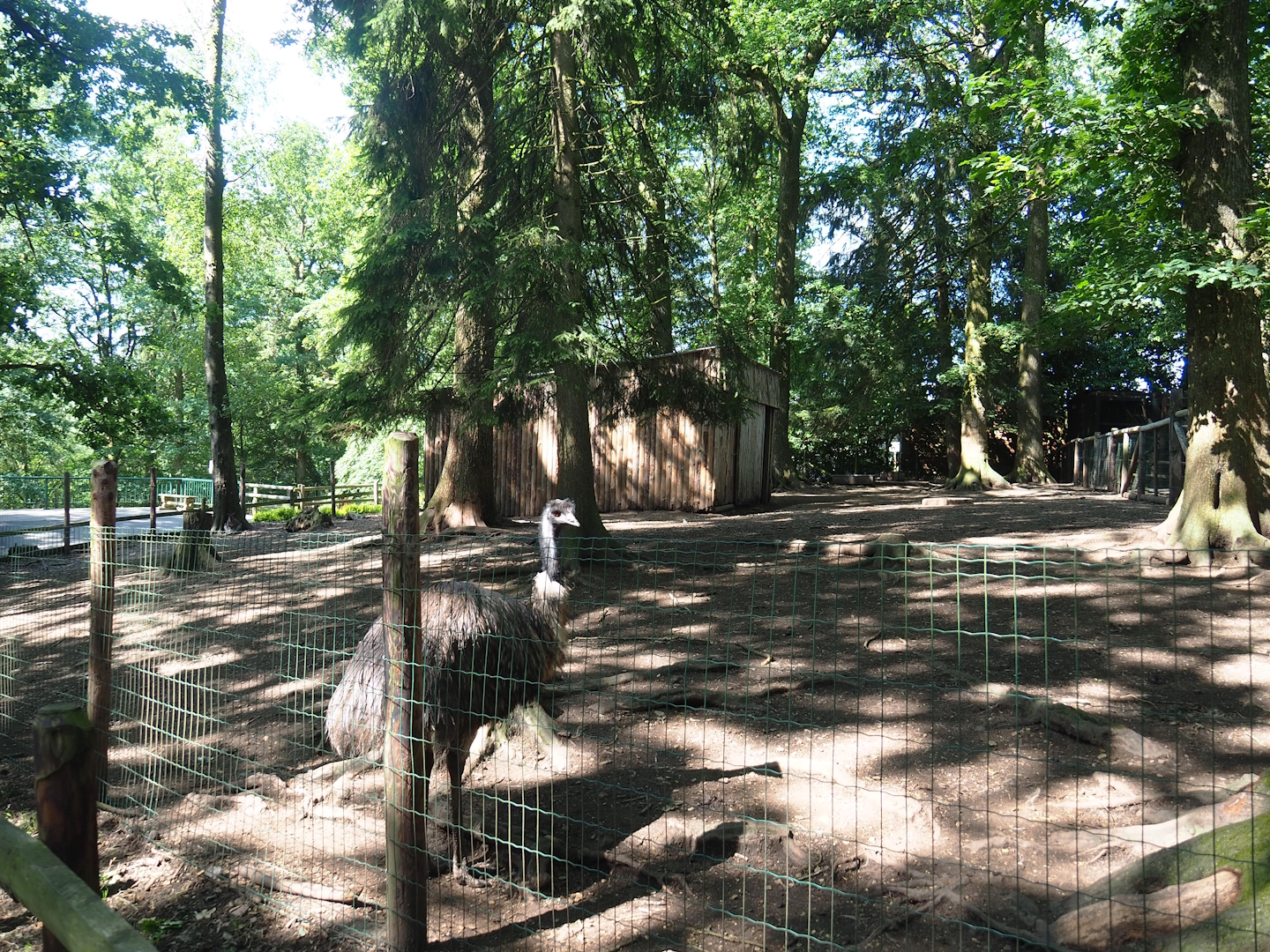 Emu and Red-necked wallaby barn and paddock, 2023-06-24