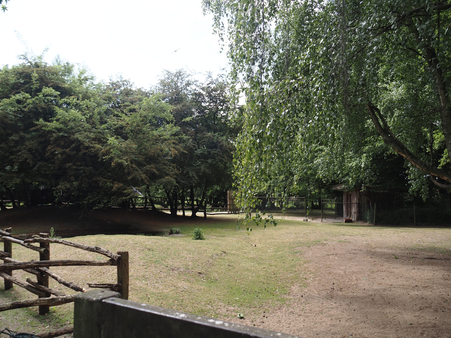 Emu and Red-necked wallaby walk-through exhibit, 2025-05-22