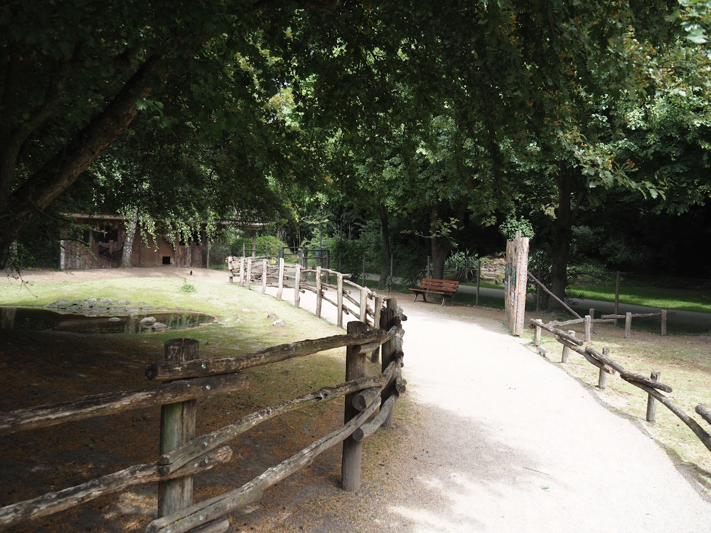 Emu and Red-necked wallaby walk-through exhibit, 2025-05-22