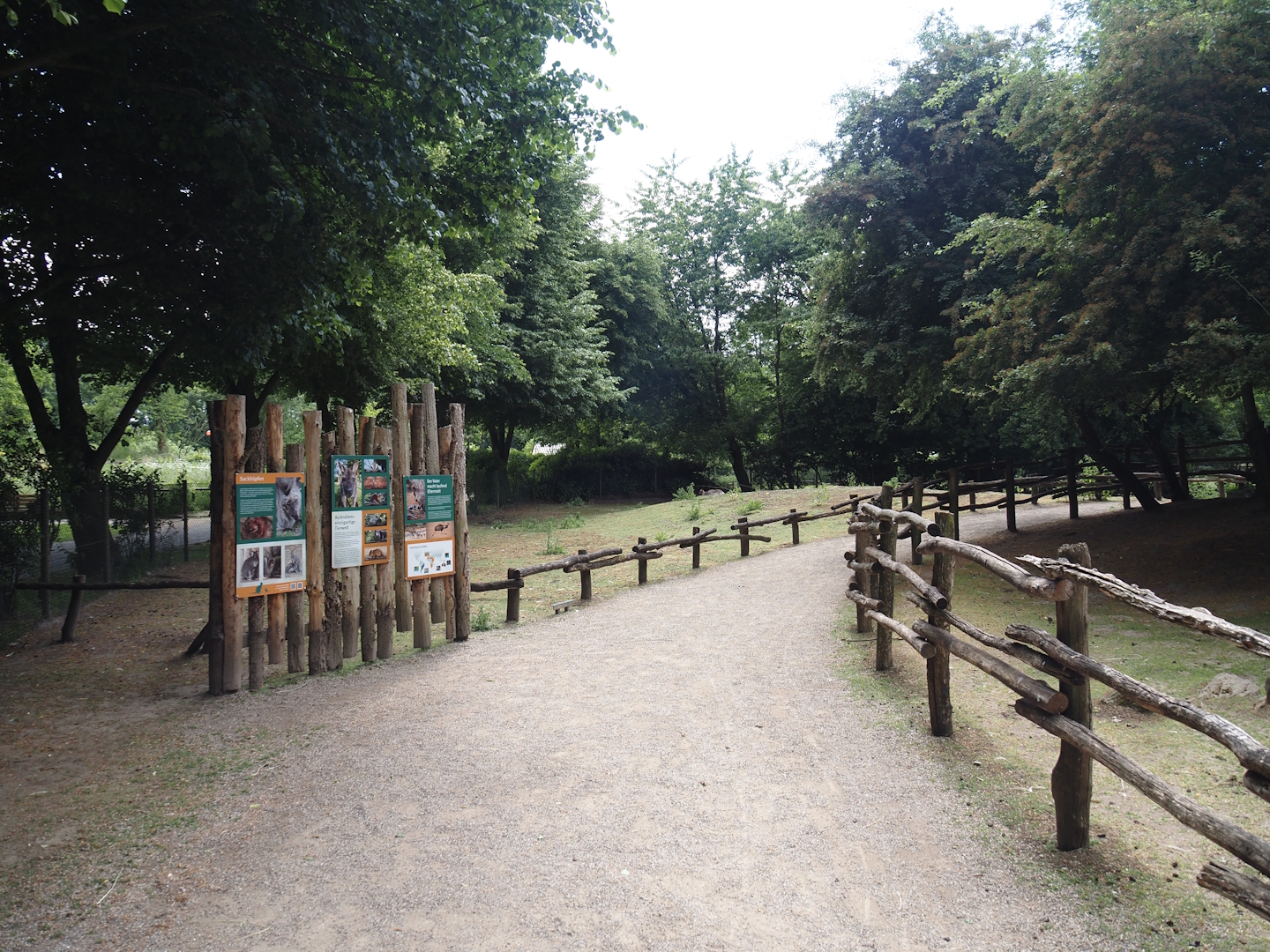 Emu and Red-necked wallaby walk-through exhibit, 2025-05-22