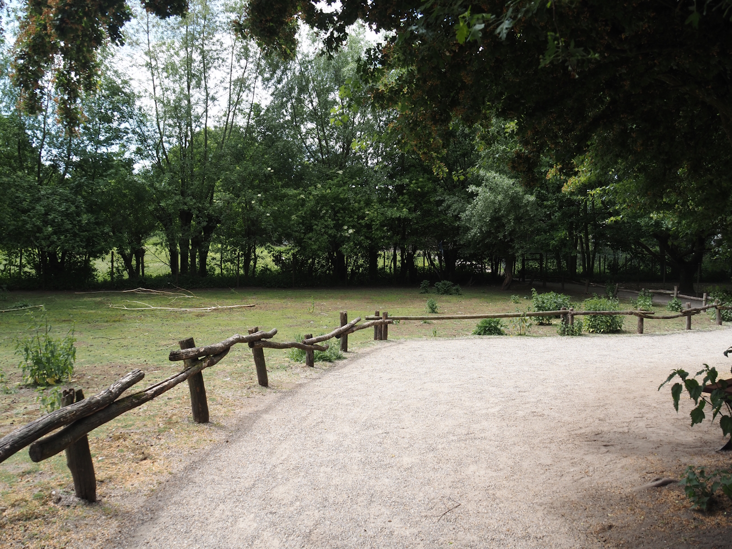 Emu and Red-necked wallaby walk-through exhibit, 2025-05-22