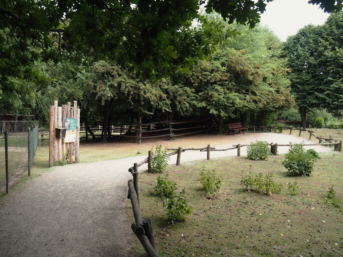 Emu and Red-necked wallaby walk-through exhibit, 2025-05-22