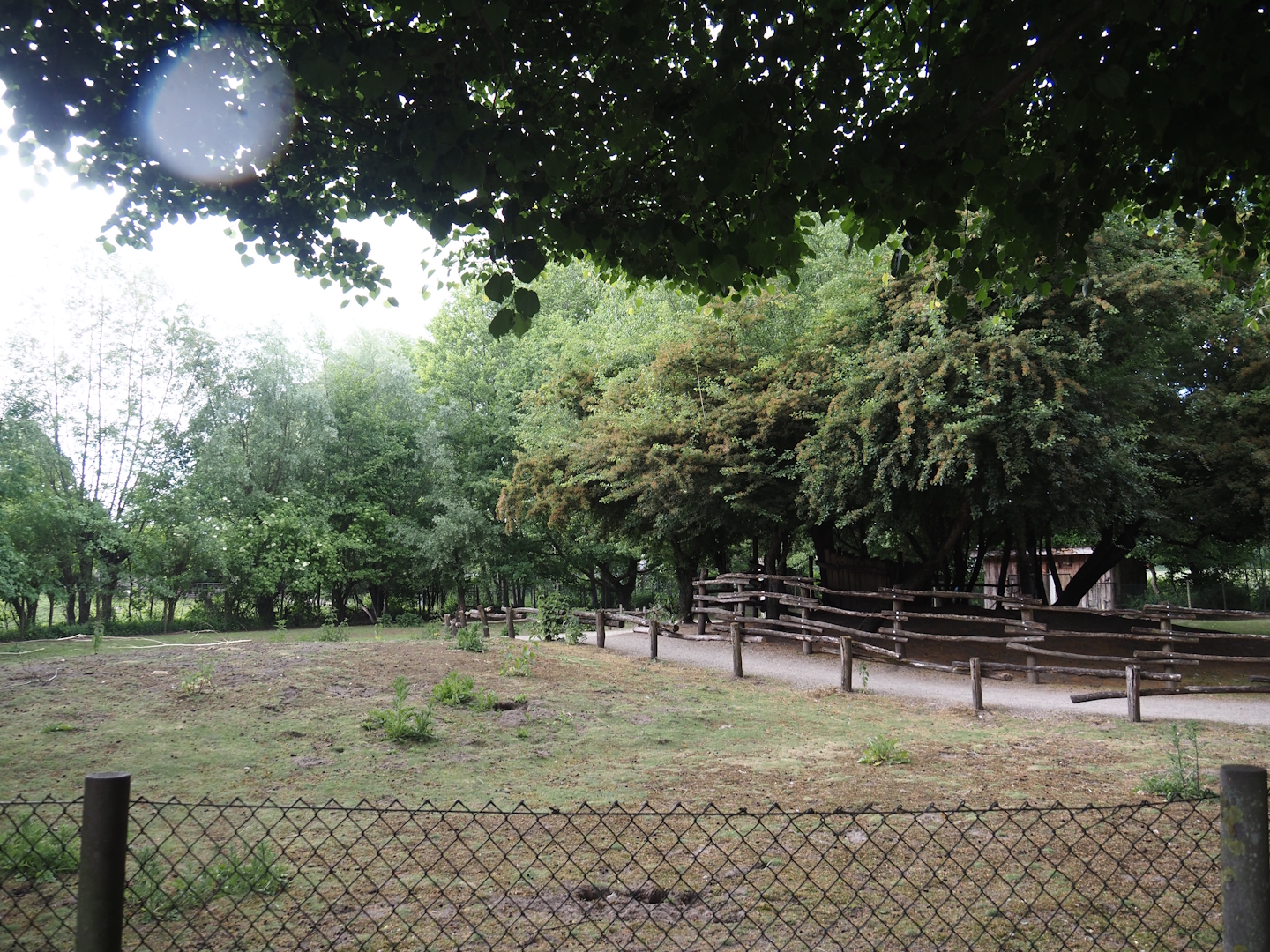 Emu and Red-necked wallaby walk-through exhibit, 2025-05-22