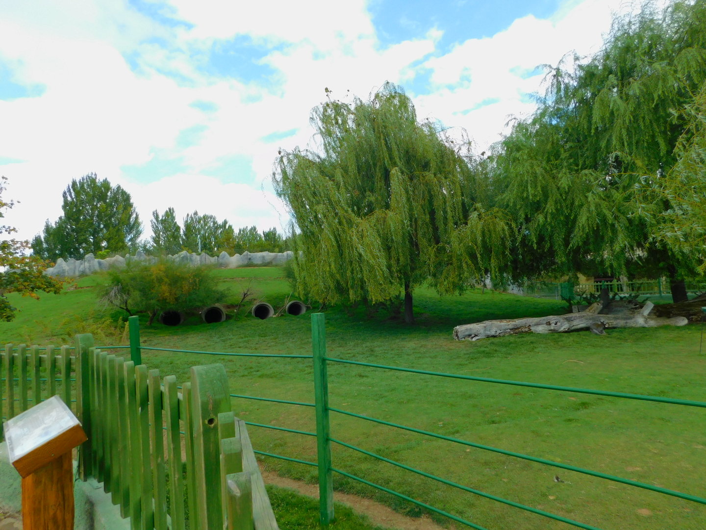 Emu and Wallaby Enclosure