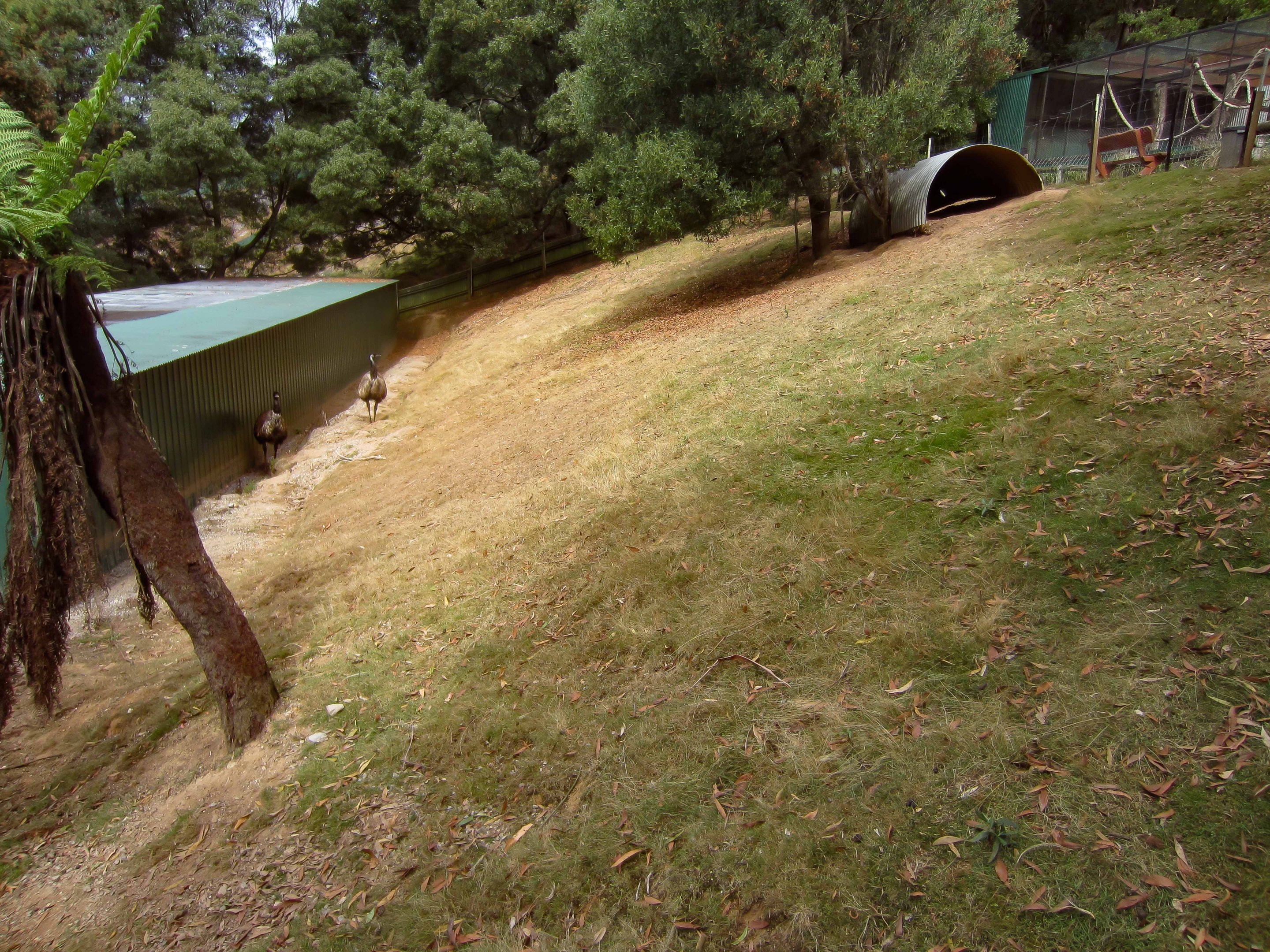 Emu and Wallaby exhibit