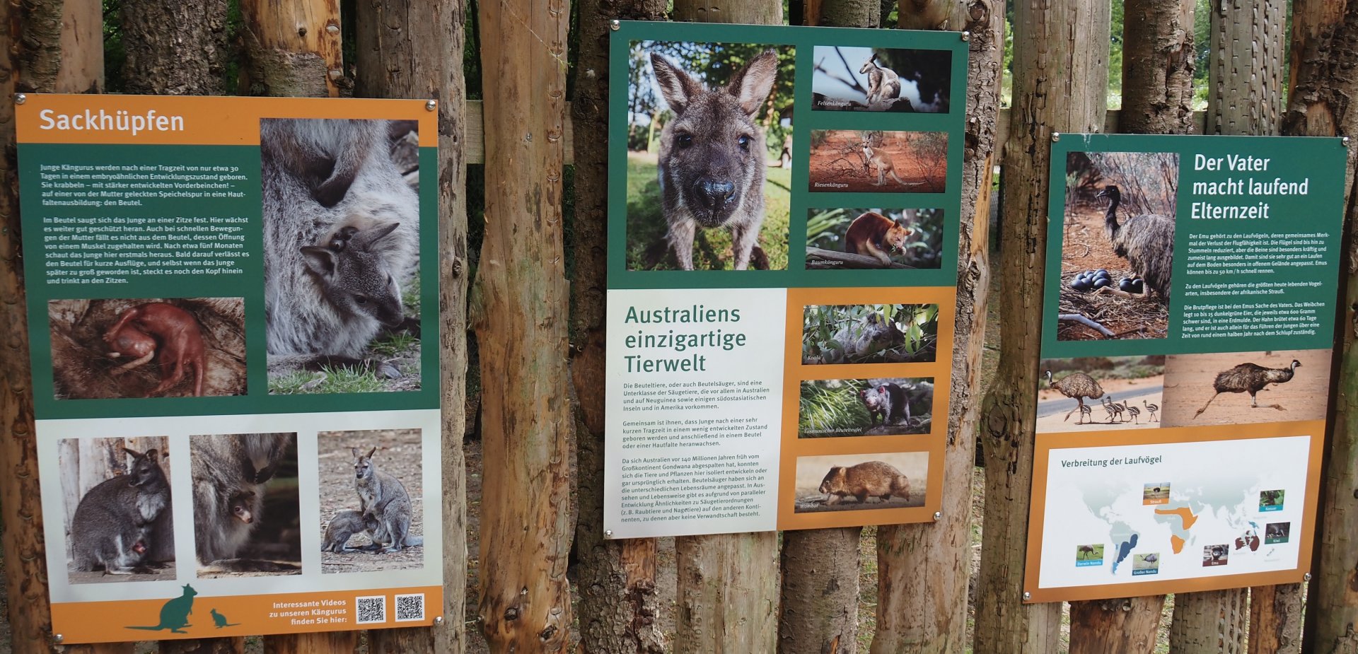 Emu and wallaby signage, 2025-05-22