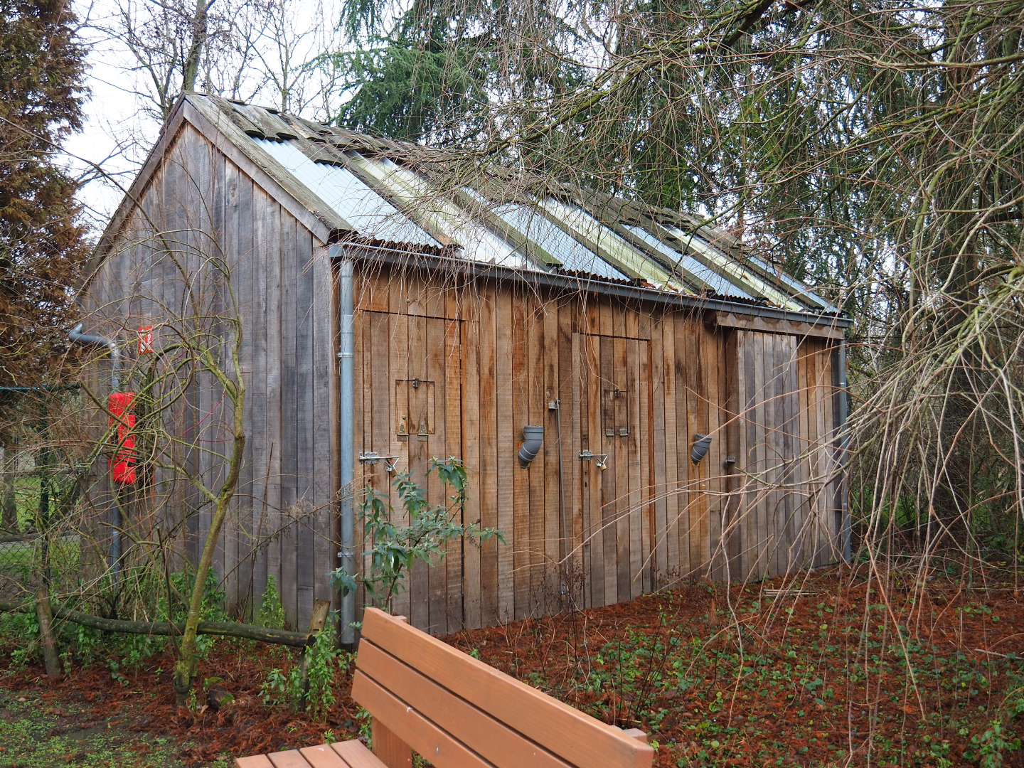 Emu barn, 2020-01-11