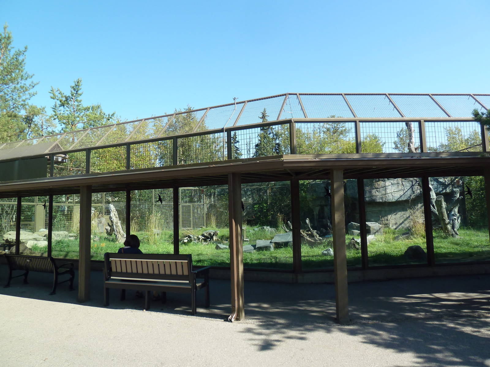 Emu/Black Swan/Bennetts Wallaby/Reeves Muntjac Exhibit