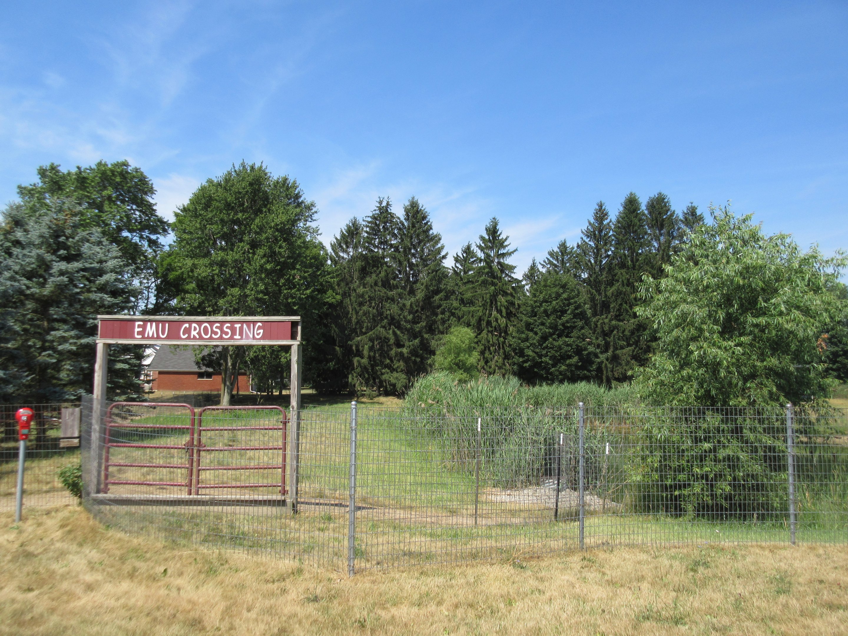 Emu/Black Swan Exhibit