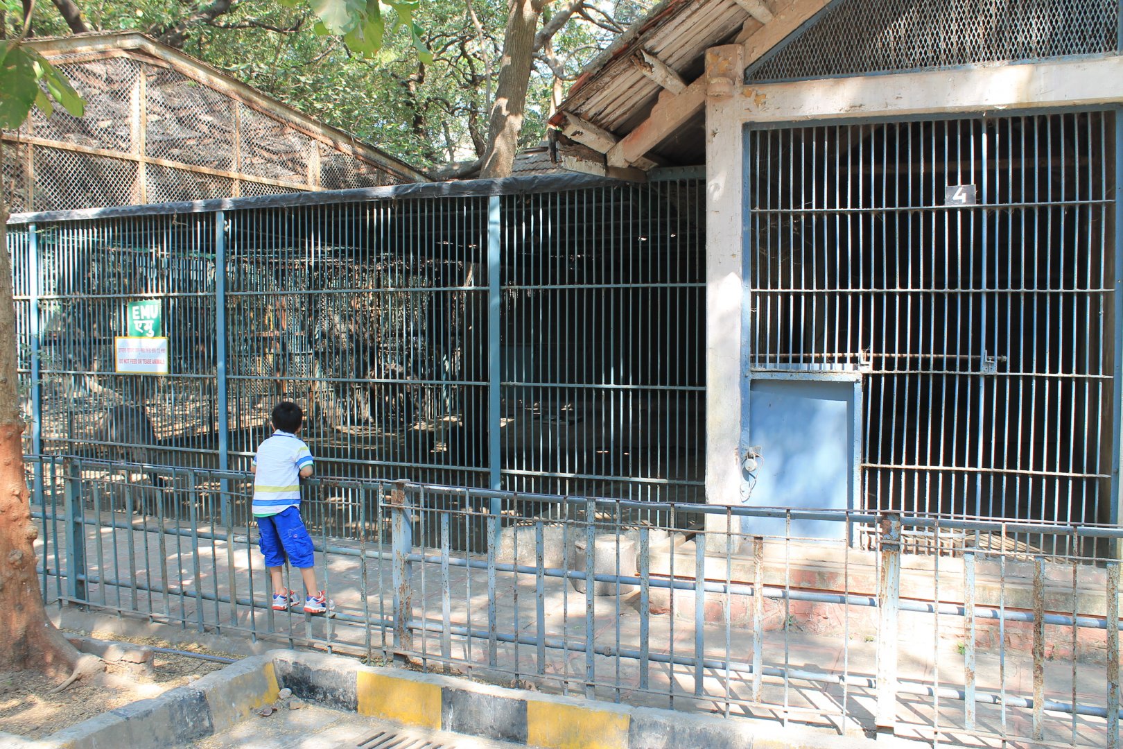 emu cage, Mumbai Zoo