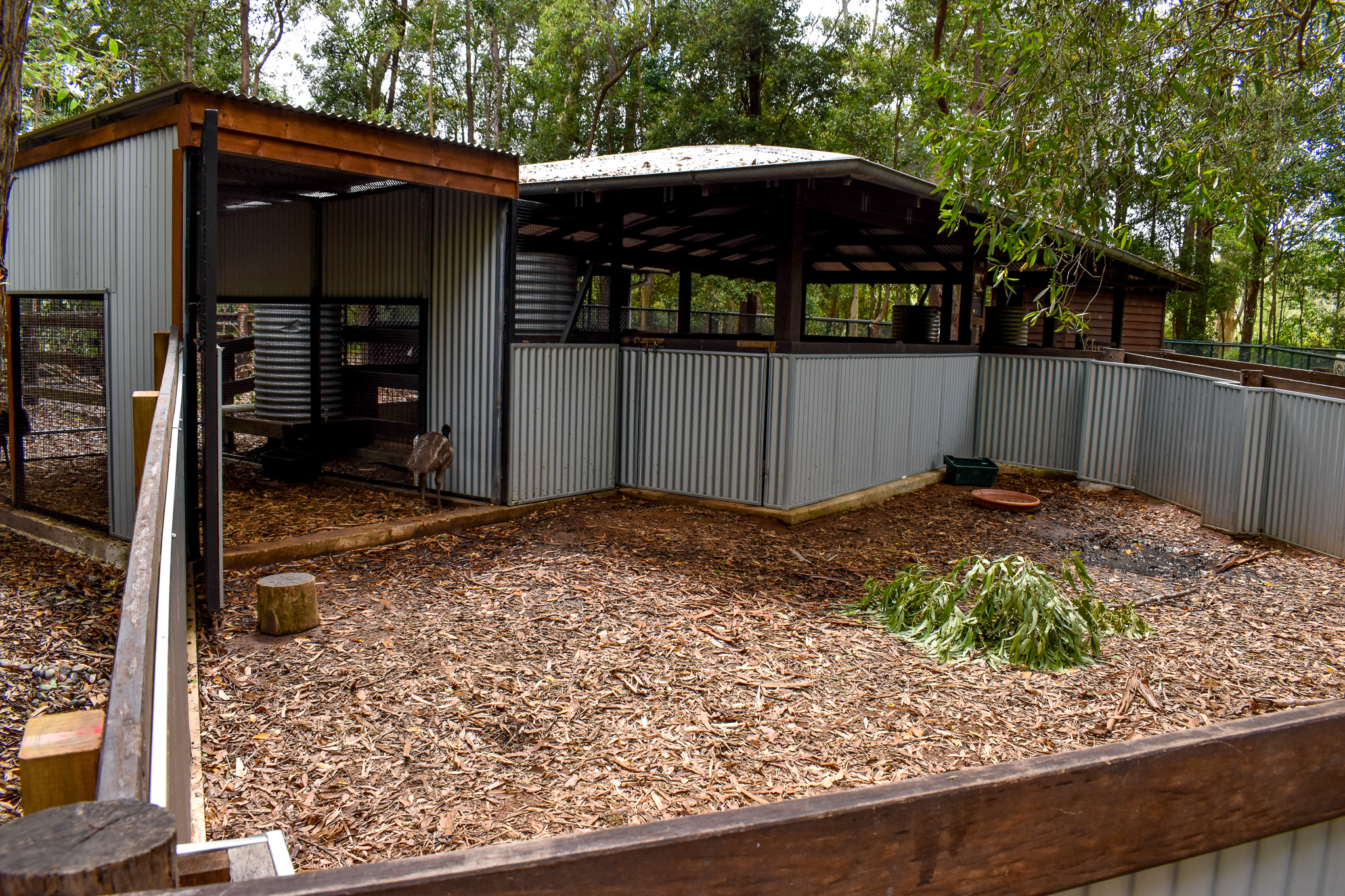 Emu Chick Enclosure