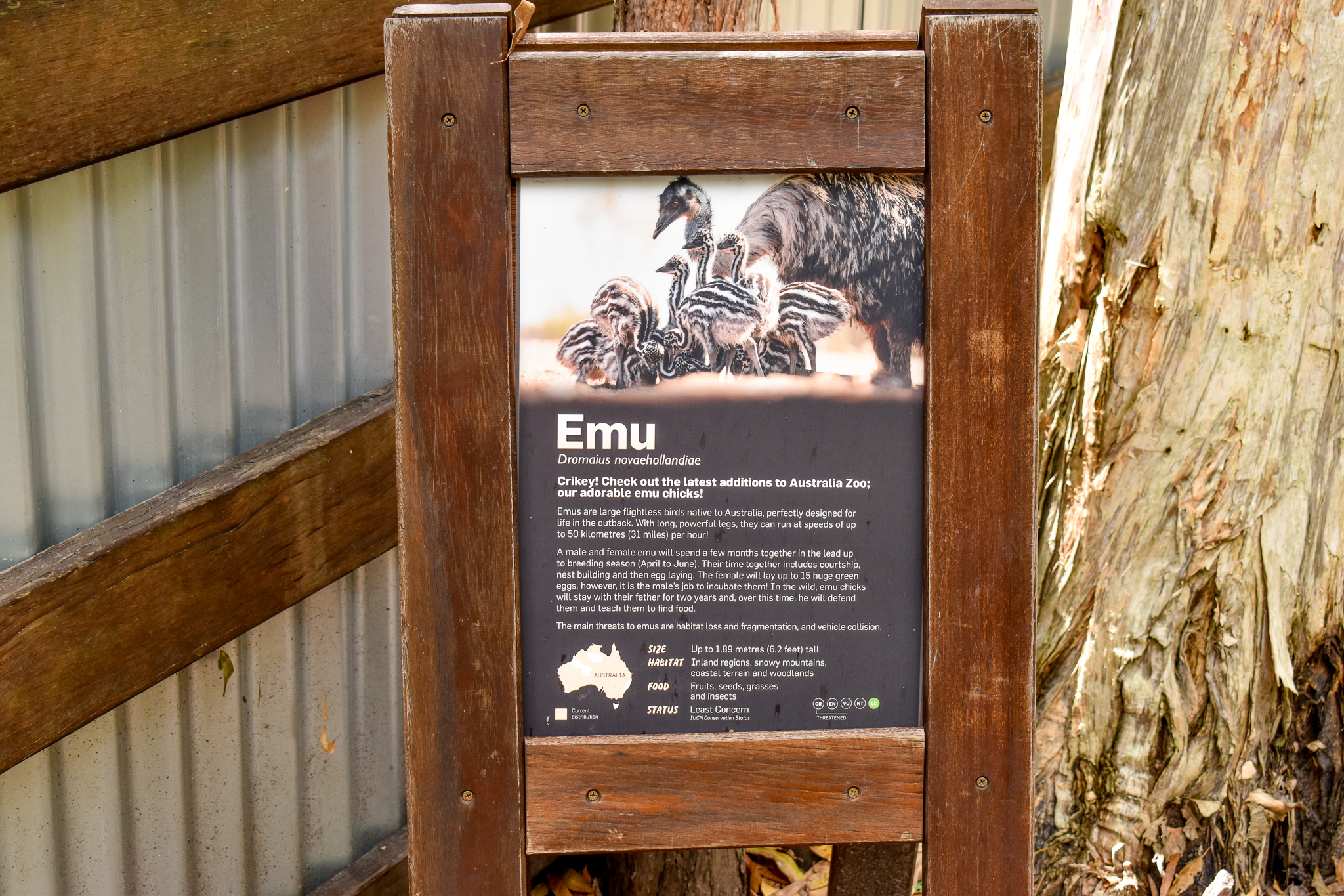 Emu Chick Sign
