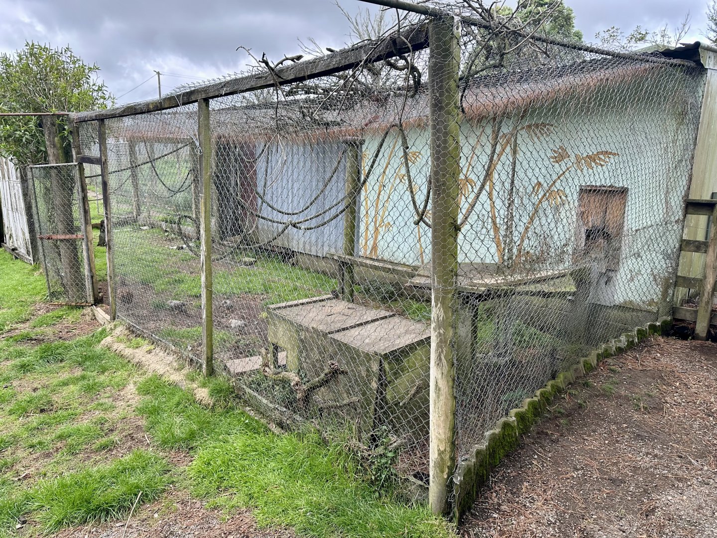 Emu/Domestic Goat Shelter