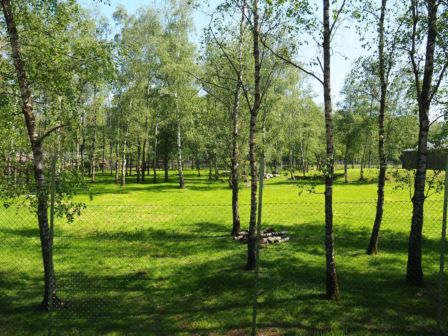 Emu, Eastern grey kangaroo, Red kangaroo and Red-necked wallaby paddock, 2023-05-19