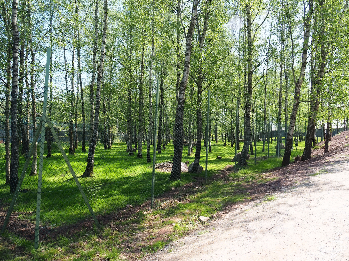 Emu, Eastern grey kangaroo, Red kangaroo and Red-necked wallaby paddock, 2023-05-19