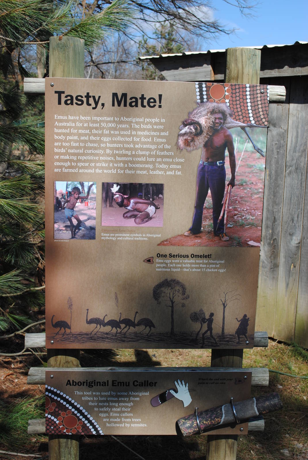 Emu Educational Poster