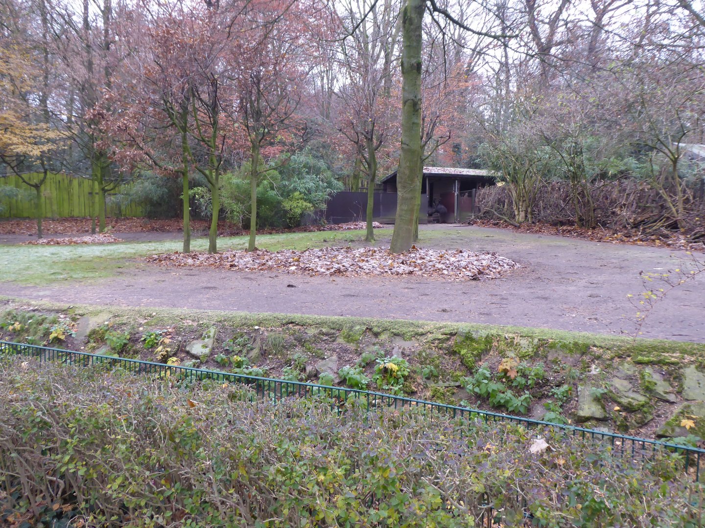 Emu enclosure 011219