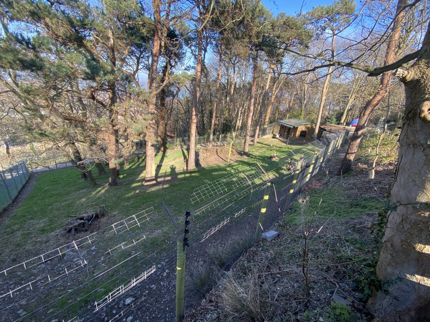 Emu enclosure 190325