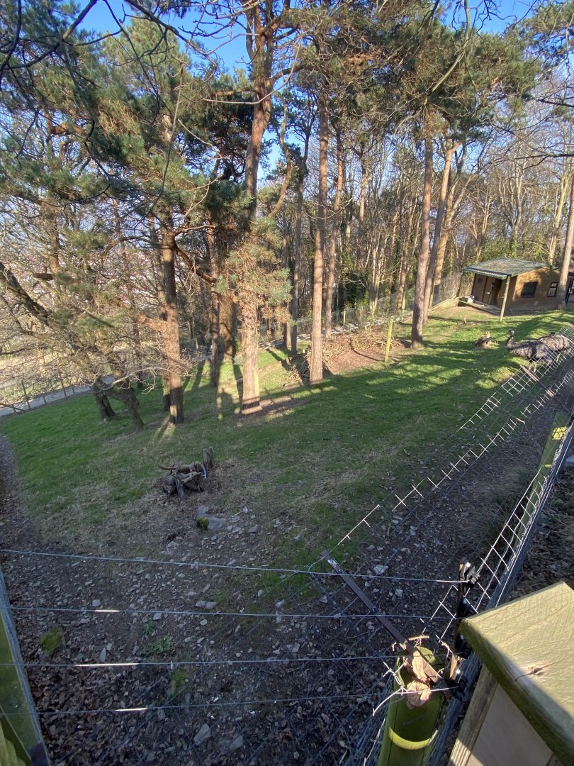 Emu enclosure 190325