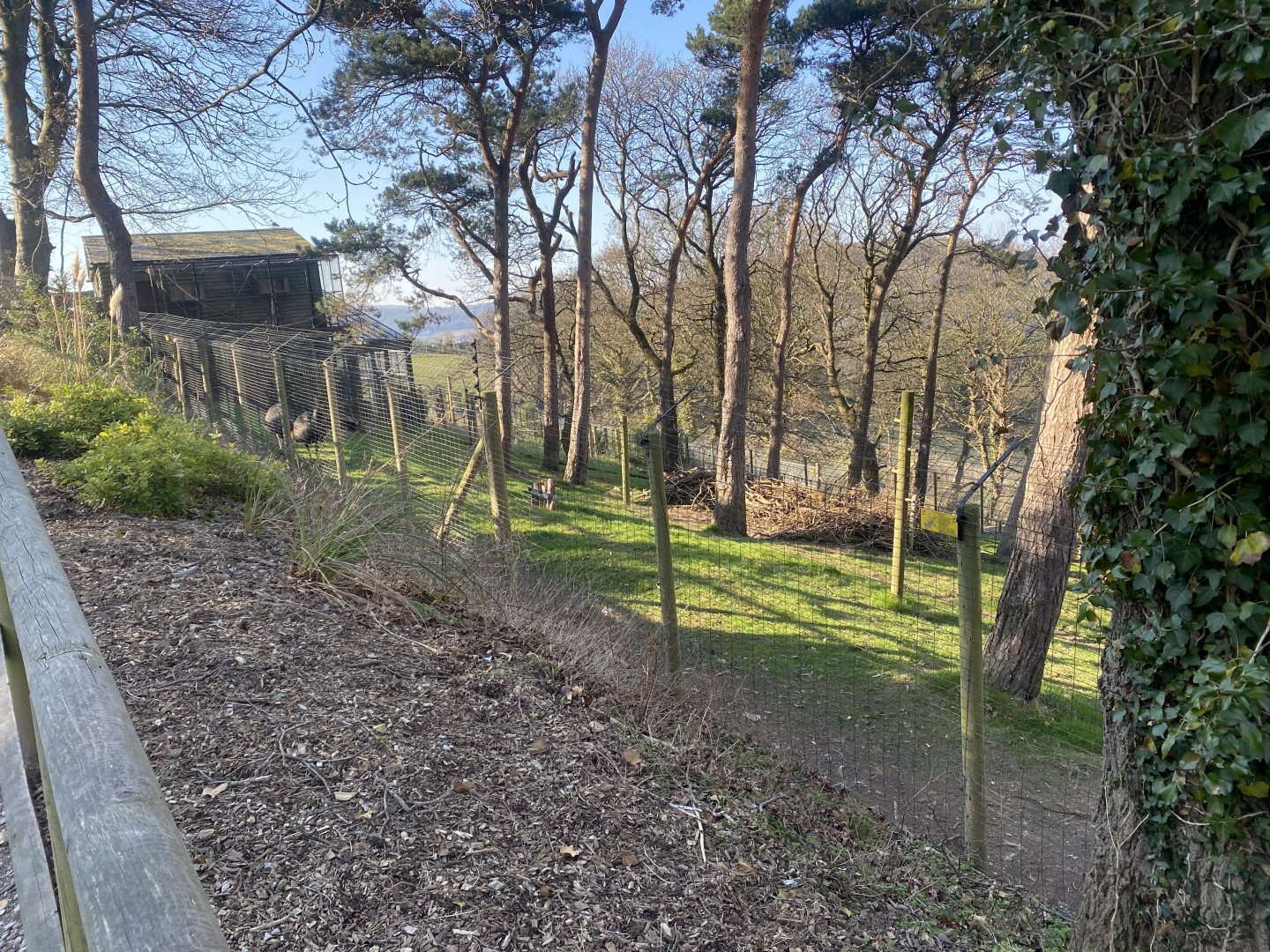 Emu enclosure 190325