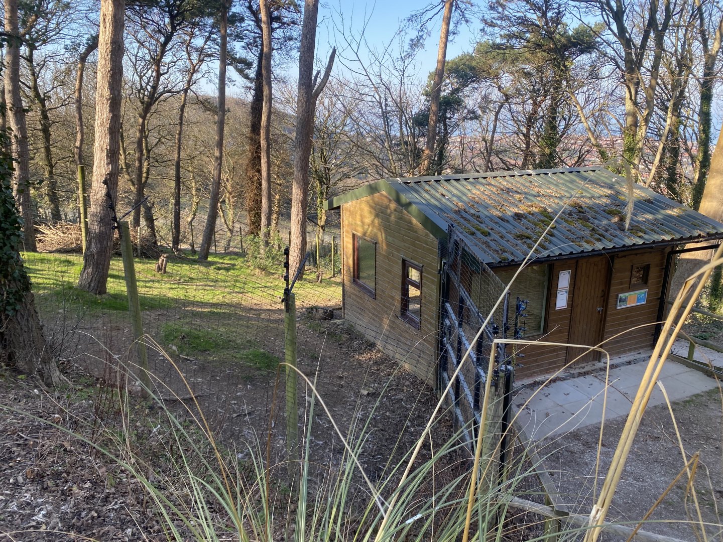 Emu enclosure 190325