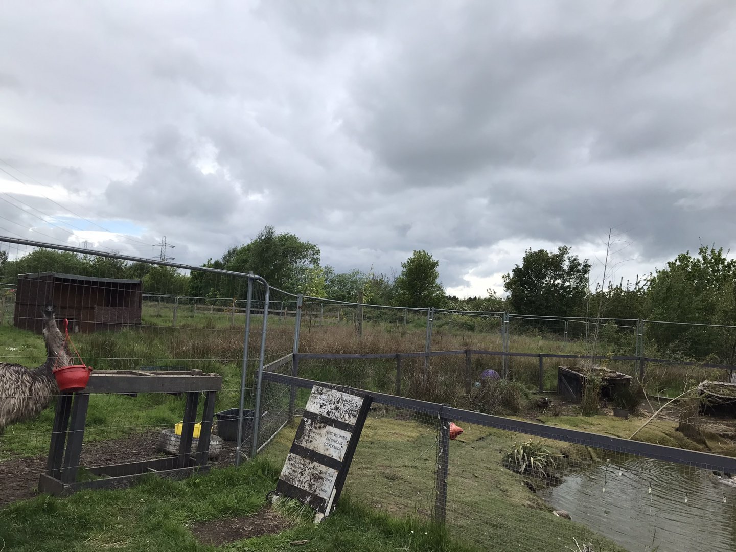 Emu enclosure (2) (Ricarton garden centre)